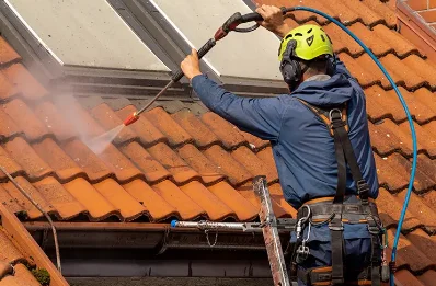 Démoussage et hydrofuge de toiture à Thoires